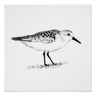 sandpiper monochrome print