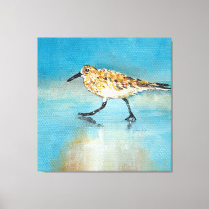 Sandpiper North American Wading Shorebird Canvas Print