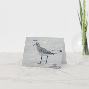 Sandpiper Note Card