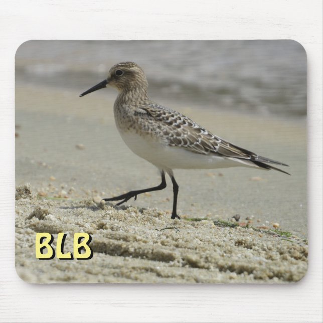 Sandpiper on the Beach your initials Mouse Pad (Front)