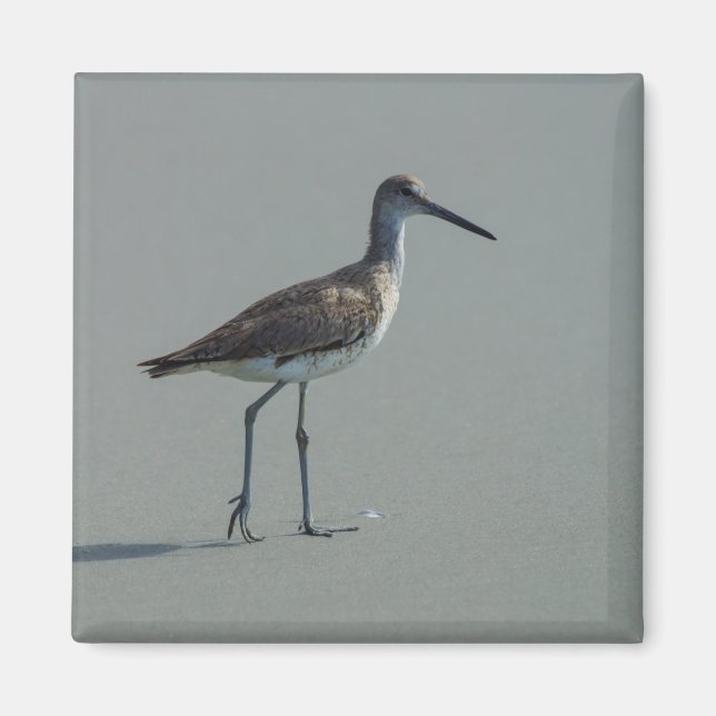 Sandpiper Pose Magnet (Front)