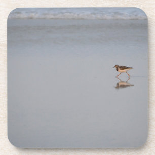 Sandpiper Running Along The Beach Coaster