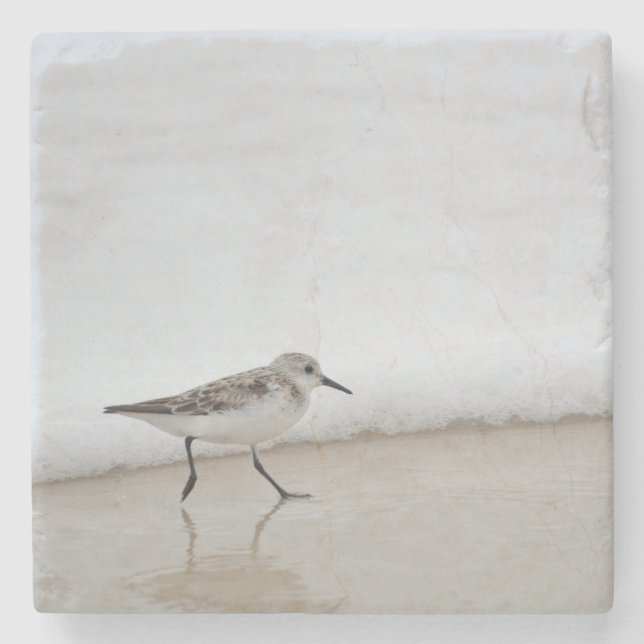 Sandpiper Shorebird Beach House Stone Coaster  (Front)