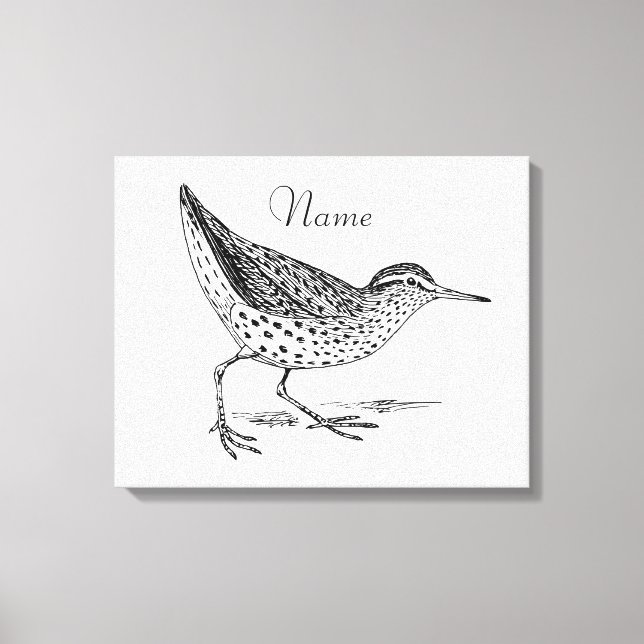 Sandpiper Shorebird Thunder_Cove  Canvas Print (Front)