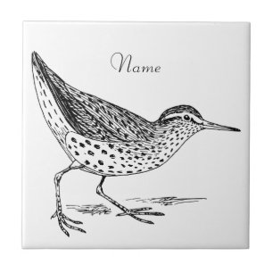 Sandpiper Shorebird Thunder_Cove  Tile