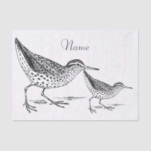 Sandpiper Shorebird Thunder_Cove Tissue Paper