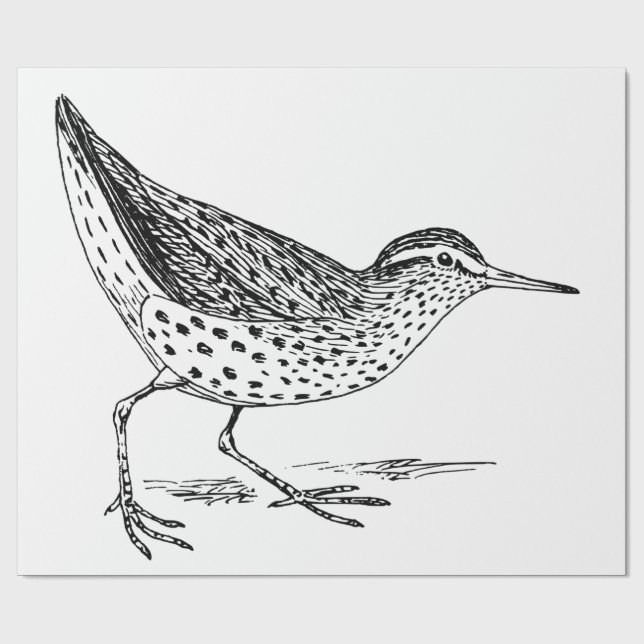 Sandpiper Shorebird Thunder_Cove  Wrapping Paper (Flat)