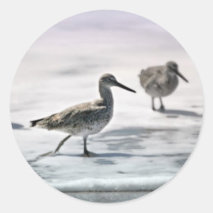 Sandpipers Classic Round Sticker
