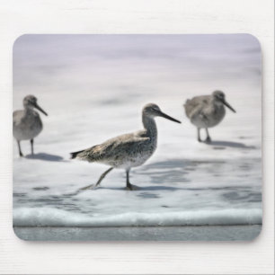 Sandpipers Mouse Pad