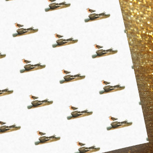 Sandpipers on Beach Drawing - Vintage Illustration Tissue Paper