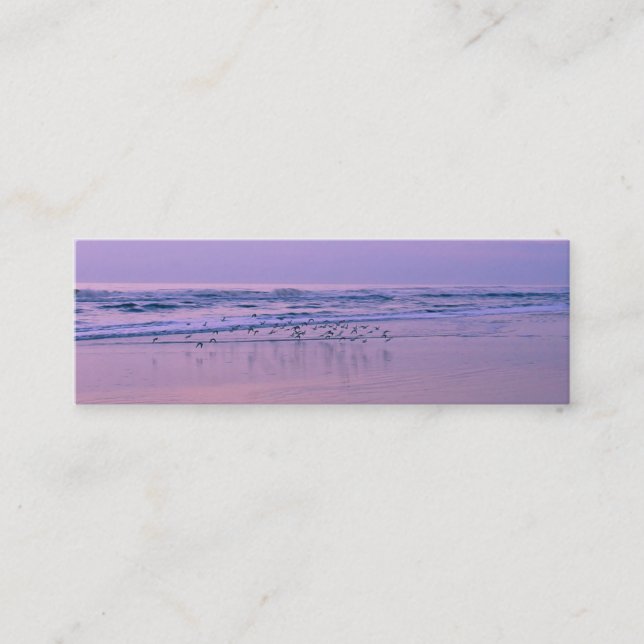 Sandpipers on the Beach at Sunrise Contact Cards (Front)