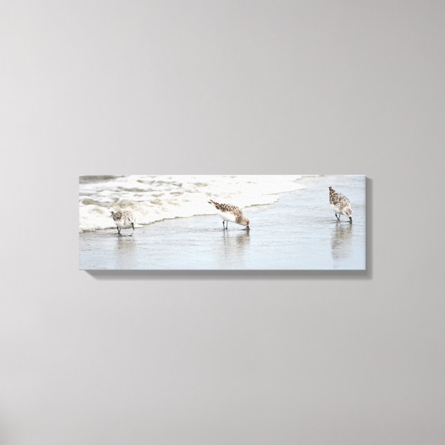 Sandpipers on the Beach Photo Stretched Canvas (Front)