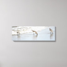 Sandpipers on the Beach Photo Stretched Canvas