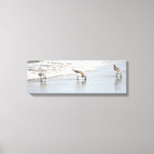 Sandpipers on the Beach Photo Stretched Canvas Print