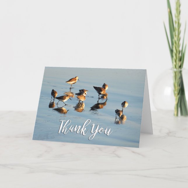 Sandpipers Photo Thank You Card (Front)