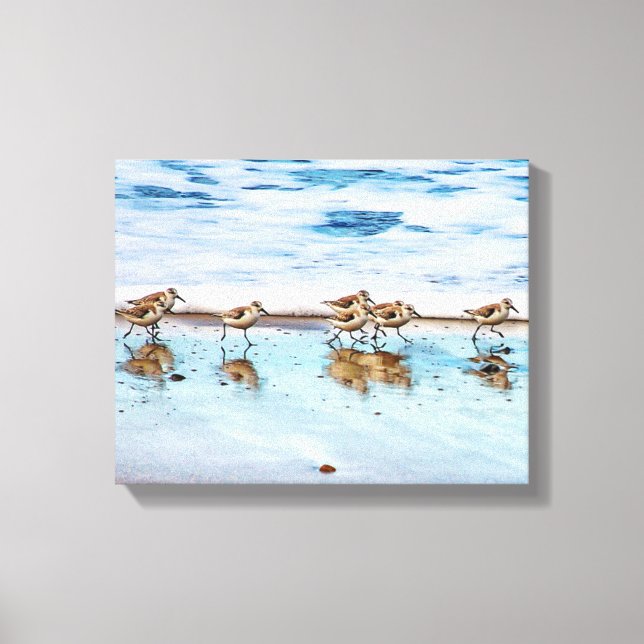 Sandpipers Running Along The Beach Canvas Print (Front)