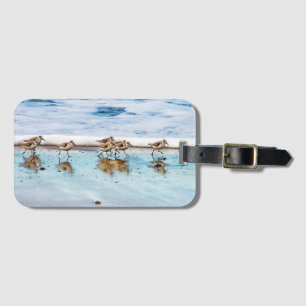Sandpipers Running Along The Beach Luggage Tag