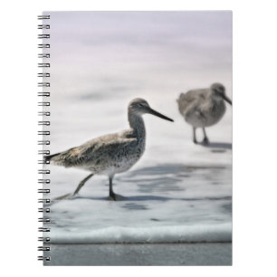 Sandpipers Spiral Notebook