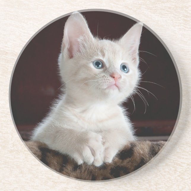 Sandstone Coaster lovers cats , for girls / gift  (Front)