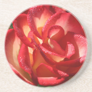 Sandstone drink coaster