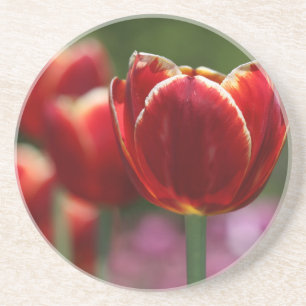 Sandstone drink coaster