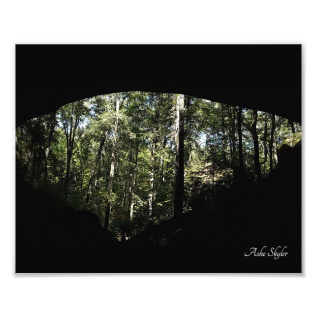 Sandstone Forest Arch Photo Print (Front)
