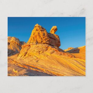 Sandstone Formations At The White Pocket 3 Postcard