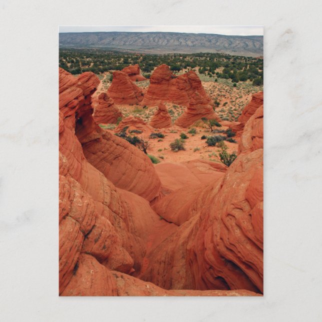 Sandstone Formations Postcard (Front)