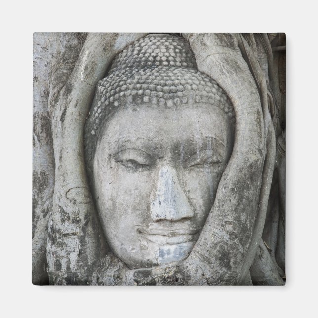 Sandstone head of Buddha surrounded by tree Magnet (Front)