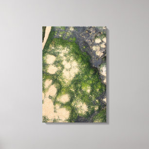 Sandstone Rock Formation with Emerald Green Moss Canvas Print
