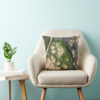 Sandstone Rock Formation with Emerald Green Moss Cushion