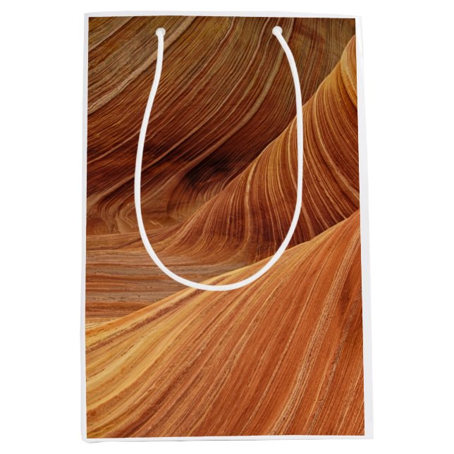 Sandstone Rock Formations Medium Gift Bag (Front)