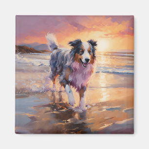 Sandy Australian Shepherd Dog on Beach Sunset Magnet