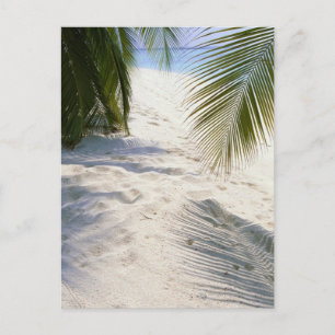 Sandy Beach Postcard