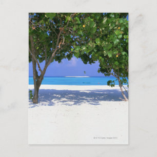 Sandy Beach Postcard