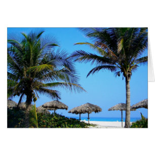 Sandy Beach With Palm Trees and An Ocean View