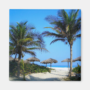 Sandy Beach With Palm Trees and An Ocean View Magn Magnet