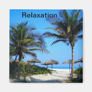 Sandy Beach With Palm Trees and An Ocean View Magn Magnet