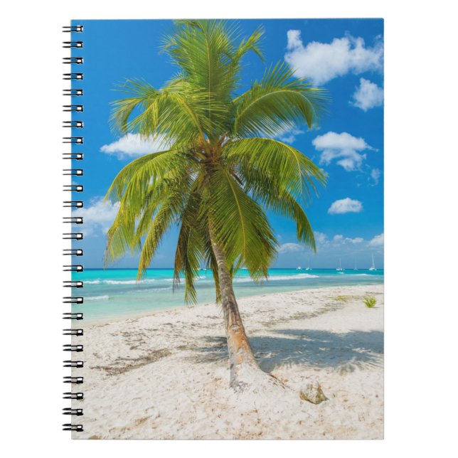 Sandy beach with tropical palm tree notebook (Front)