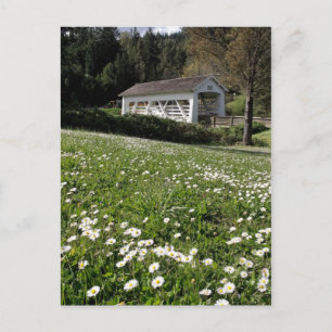 Sandy Cr. Covered Bridge Postcard