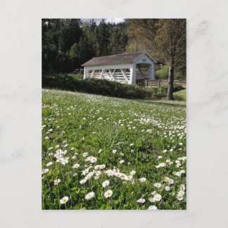 Sandy Cr. Covered Bridge Postcard