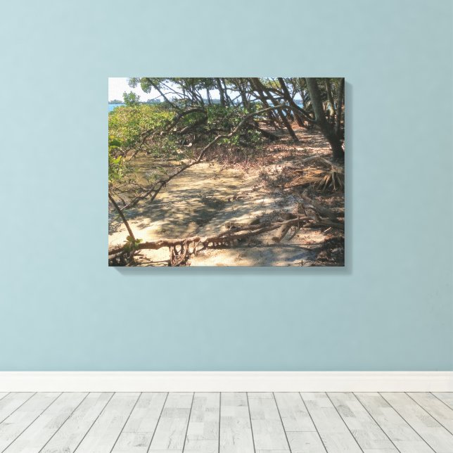 Sandy Path through the Mangroves Canvas Print (Insitu(Wood Floor))