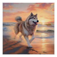 Sandy Paws Alaskan Malamute Dog on Beach Sunset