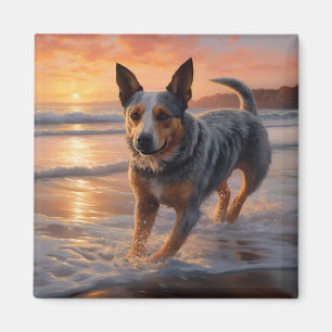 Sandy Paws Australian Cattle Dog on Beach Sunset Magnet
