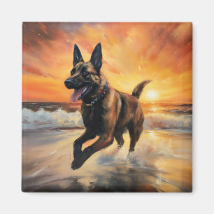 Sandy Paws Belgian Malinois Dog on Beach Sunset Magnet