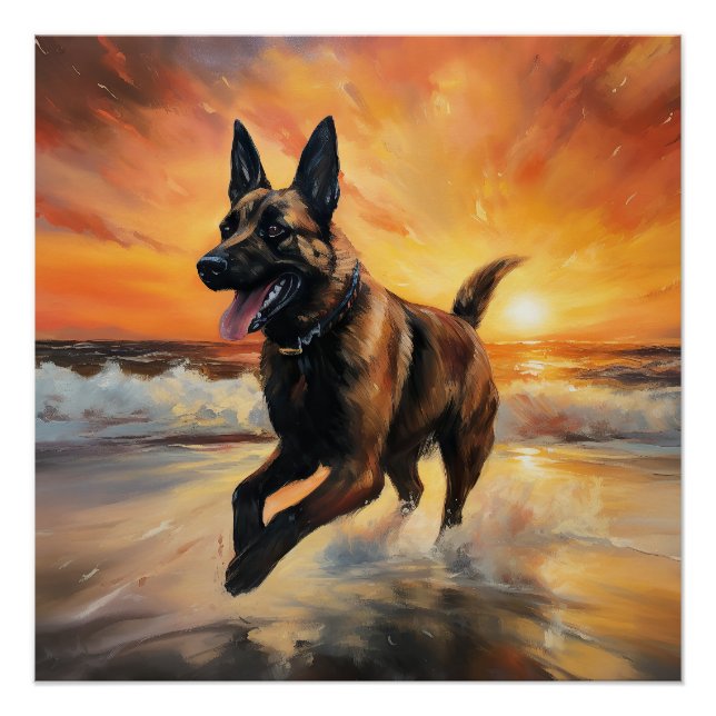 Sandy Paws Belgian Malinois Dog on Beach Sunset  Poster (Front)