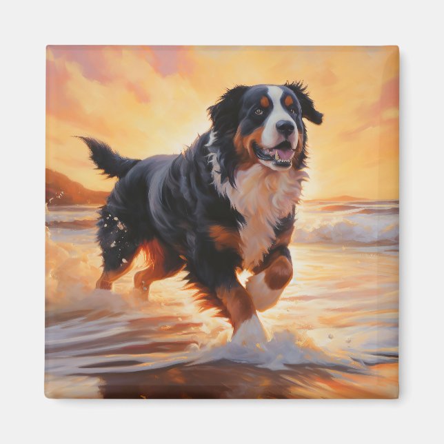 Sandy Paws Bernese Mountain Dog on Beach Sunset  Magnet (Front)