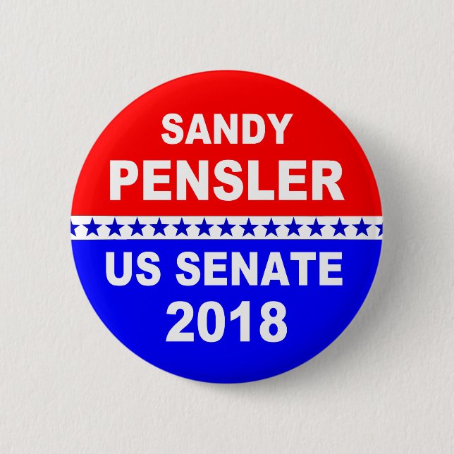 Sandy Pensler Senate Michigan political button (Front)