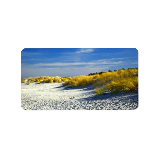 Sandy Sea Shore Island Dunes Label (Front)