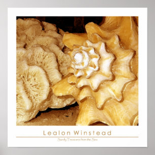 Sandy Treasures from the Sea Poster